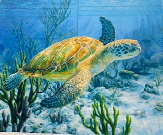Swimming Sea Turtle Panel 34" x 43" by David Textiles