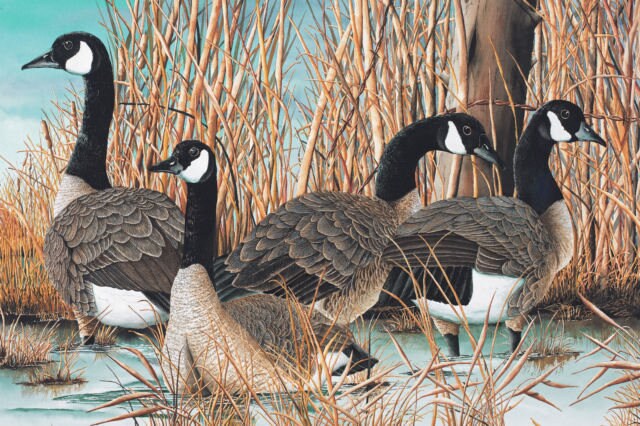 Canada Goose Quilt Kit Hunting Cabin Man Cave 60 x 65 By Paul Twitchell