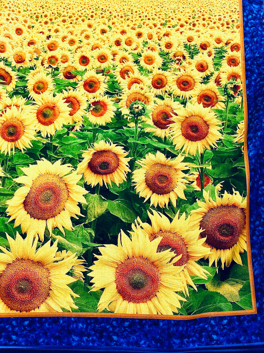 Sunflower field blue sky valley digital print panel 36x42