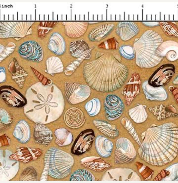 Florida shop hop 2024 fabric sea shells by the yard cotton QT fabrics